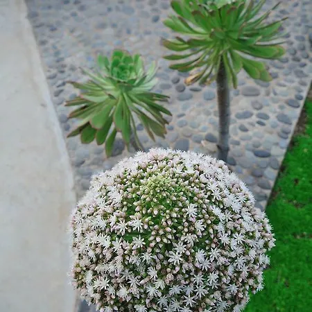 El Susurro Ecoliving_villa Pardela *